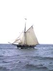 Jagt JENSINE