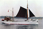 Ålekvase KATHRINE PETERSEN