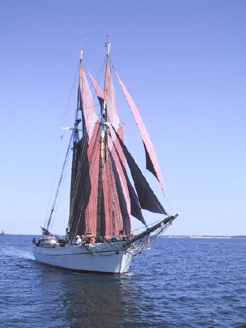 Skonnert FREIA